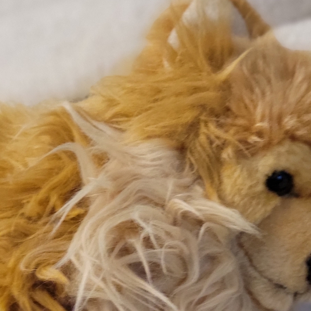 Webkinz Signature Pomeranian Ganz - Picture 6 of 10